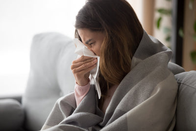 Supporting Your Gut Health to Help Your Immunity
