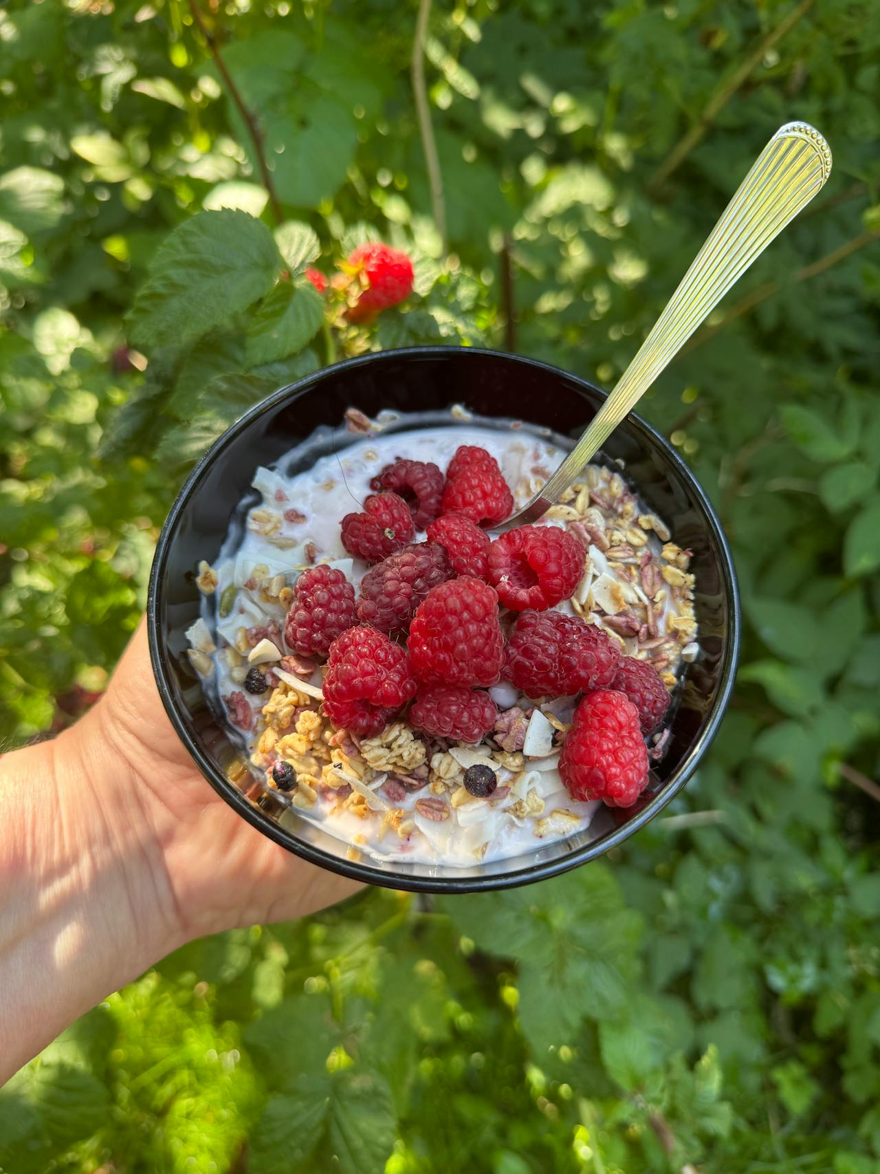 Image of 5 of the Best Foods to Strengthen Your Immune System
