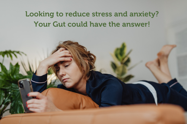 Gut Health and Stress: A Vital Connection