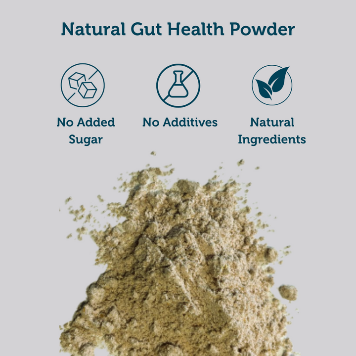 Immunity & Focus Starter Pack - Gut Health Powder