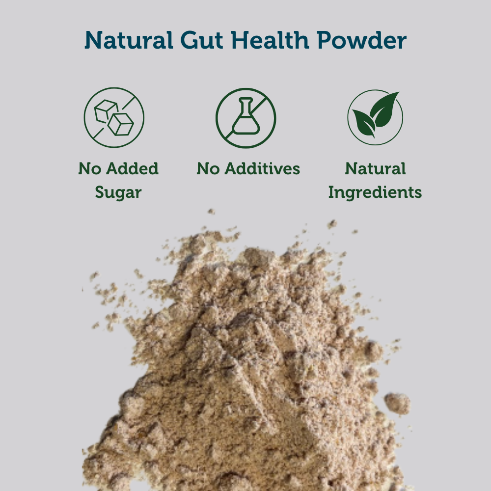 Meal Booster Cacao Blend Energy - Gut Health Powder