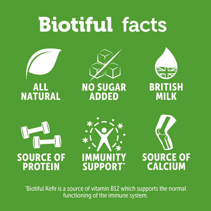 Biotiful Kefir Drink, Vanilla,  250ml